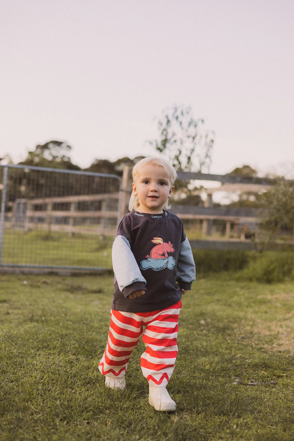 LennyCo Pigs Might Fly Long Sleeve