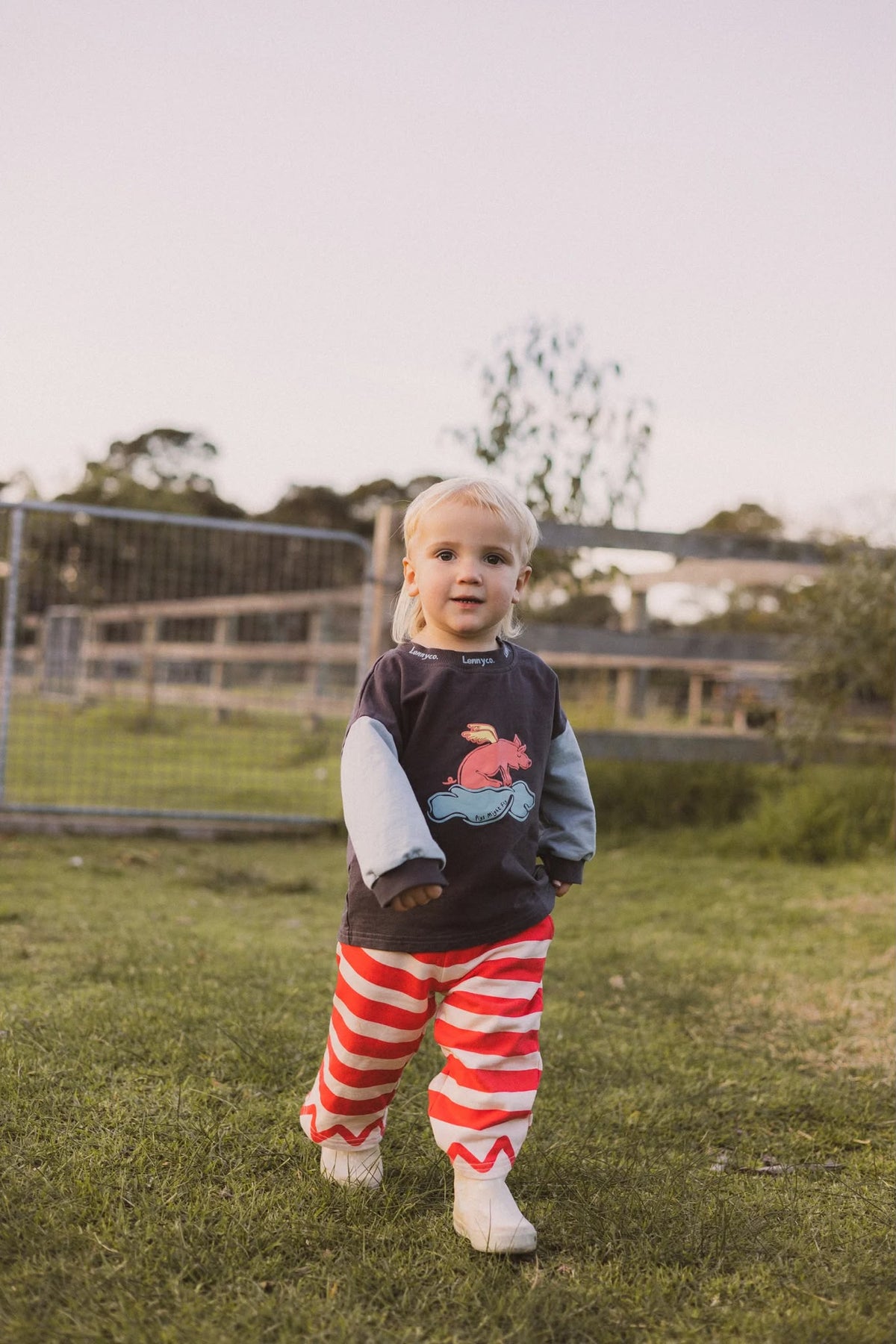 LennyCo Pigs Might Fly Long Sleeve