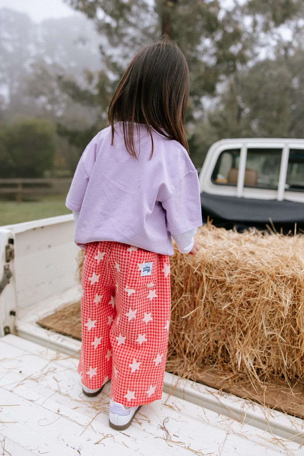 Star Pants - Pink Gingham