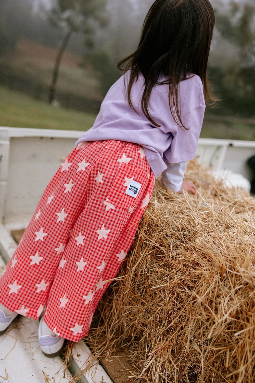 Star Pants - Pink Gingham