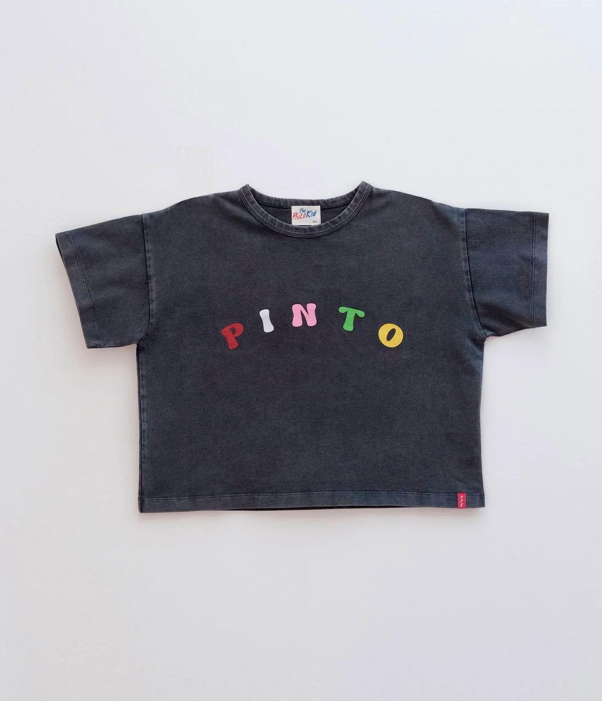 Pinto Tee - Faded Black Multi Colour